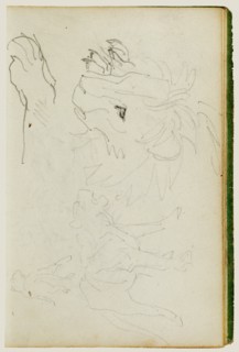 Lion studies