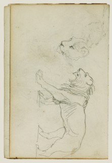 Lion walking, head of a lioness