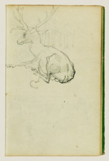 Seated Stag