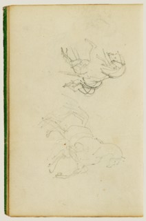 Two studies of a rearing horse