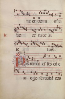 Decorated Initial P