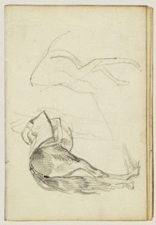 Horse Studies