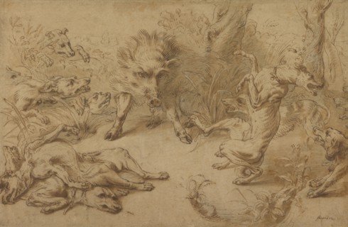 A Wild Boar at Bay