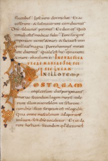 Decorated Initial P