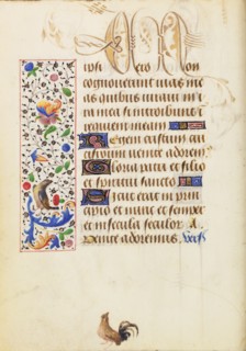 Decorated Text Page