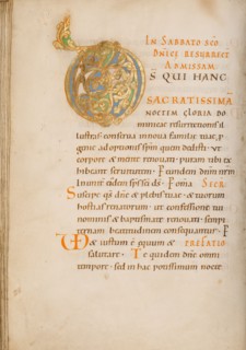Decorated Initial D
