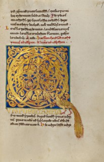 Inhabited Initial Q