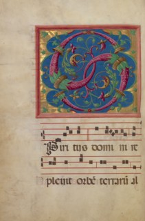 Decorated Initial S