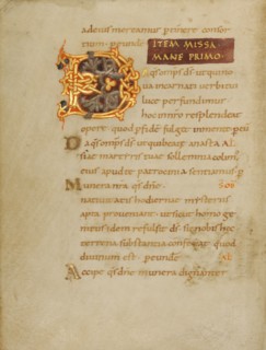 Decorated Initial D