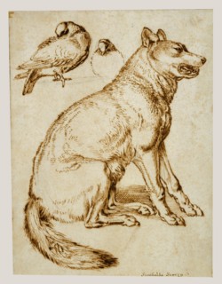 A Wolf and Two Doves