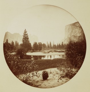 Down the Valley, Yosemite