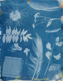 [Arrangement of Specimens]