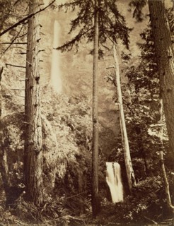 Multnomah Falls, Columbia River, Oregon / [Multnomah Falls, Side