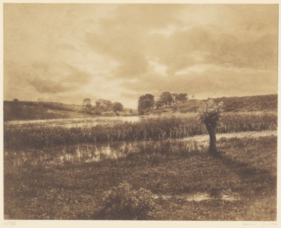 [The Ponds at Optevoz, RhÃ´ne]