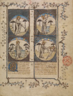 Scenes from the Creation