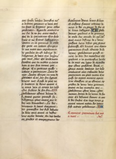 Text Page