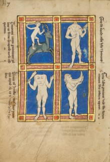 Trococite,  A Headless Man with Eyes on His Shoulders,  A Headle