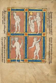 Antipode,  Scinopode,  Coastal Ethiopian,  Psalmlarus