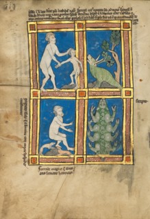 Praesillus,  A Hairy Woman of the Island of Gorgade,  A Scorpion