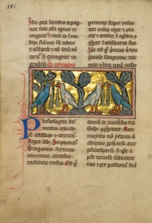 Two Pairs of Doves