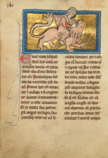 Samson Fighting a Lion