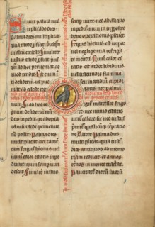 A Medallion with a Turtle Dove