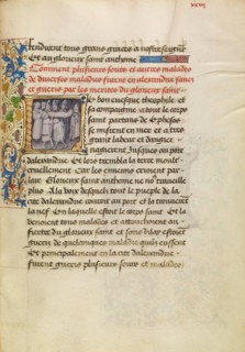 Initial L: The Sick in Alexandria Are Healed after Touching the