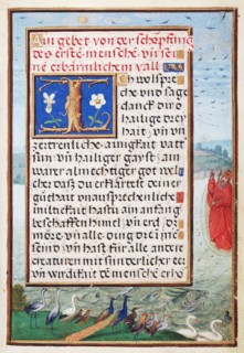 Border with the Creation of Birds and Fishes