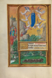 The Assumption of the Virgin