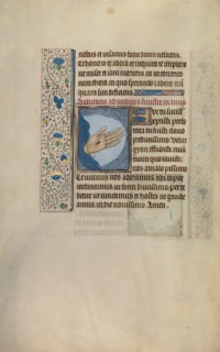 Christ's Left Hand with Wound
