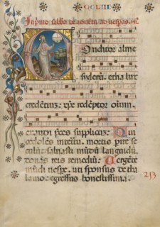 Initial C: The Creation of the World