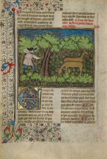 An Archer Shooting at Deer