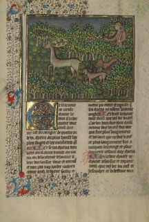 A Hunter and Dogs Pursuing a Fallow Deer