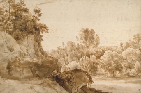 A Wooded Landscape