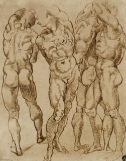 Nude Studies