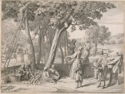 An Apple Harvest