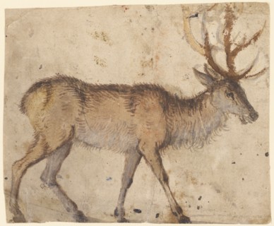Study of a Stag (recto),  Study of Goats (verso)