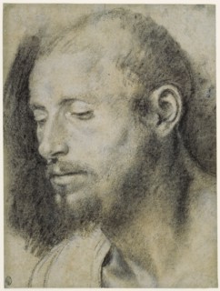 Study of the Head of a Bearded Man