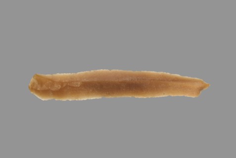 Sickle Blade, 1980-1801 BC. Egypt, Middle Kingdom, Dynasty 12. Flint; overall: 5 cm (1 15/16 in.).