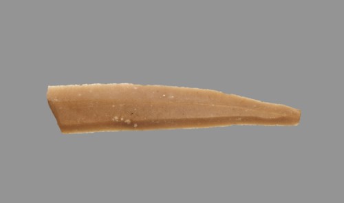 Sickle Blade, 1980-1801 BC. Egypt, Middle Kingdom, Dynasty 12. Flint; overall: 5 cm (1 15/16 in.).