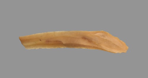 Sickle Blade, 1980-1801 BC. Egypt, Middle Kingdom, Dynasty 12. Flint; overall: 5 cm (1 15/16 in.).