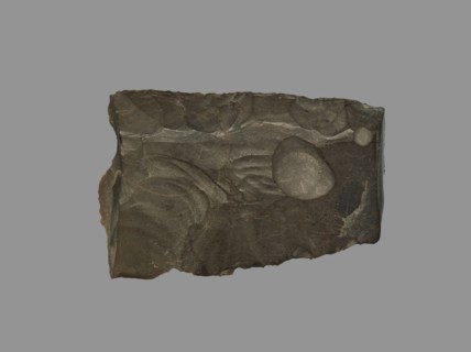 Sickle Blade, 1980-1801 BC. Egypt, Middle Kingdom, Dynasty 12. Flint; overall: 5 cm (1 15/16 in.).