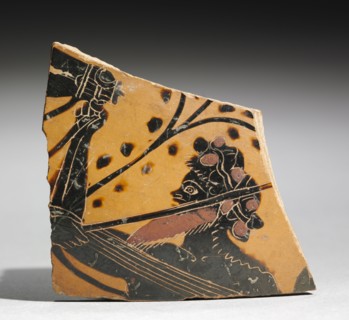 Fragment of a Painted Vase: Head of a Satyr, 520-510 BC. Greece, Necropolis of Ferentum (Viterbo),