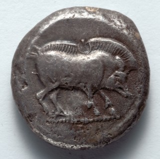 Stater: Boar (obverse), 500-450 BC. Greece, Lycia, 5th century BC. Silver; diameter: 2 cm (13/16 in