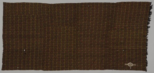 Shawl, late 1800s. India, Punjab, late 19th century. Tapestry twill; wool; overall: 261.6 x 118.8