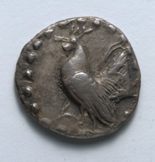 Aegineatan Drachm: Rooster (obverse), c. 482 BC. Greece, 5th century BC. Silver; diameter: 2 cm