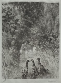 The Surprised Ducks. Félix Bracquemond (French, 1833-1914). Etching; sheet: 44.4 x 29 cm (17 1/2 x