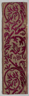 Border Fragment, late 1600s. Italy, late 17th century. Velvet (cut and uncut); silk; overall: 38.1