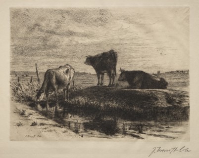 11: The Three Cows. Joseph Foxcroft Cole (American, 1837-1892). Etching