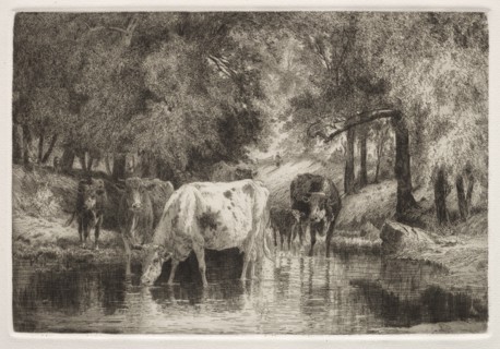 The Pool. Peter Moran (American, 1841-1914). Etching